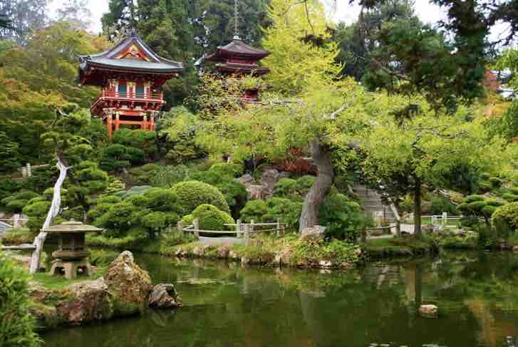 Inner Sunset Garden Retreat, Near Golden Gate Park - Photo 32