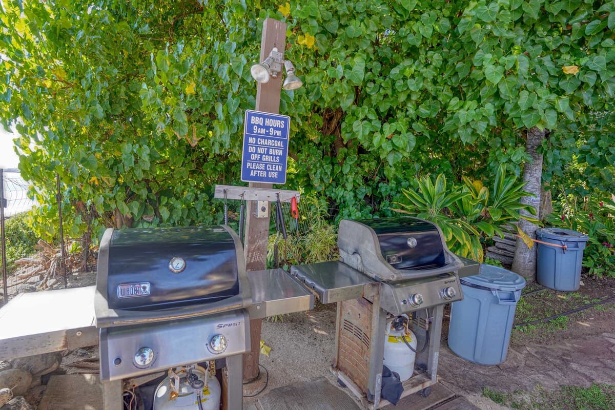 Condo in Wailuku · ★4.75 · 1 bedroom · 1 bed · 1 bath - Image 45