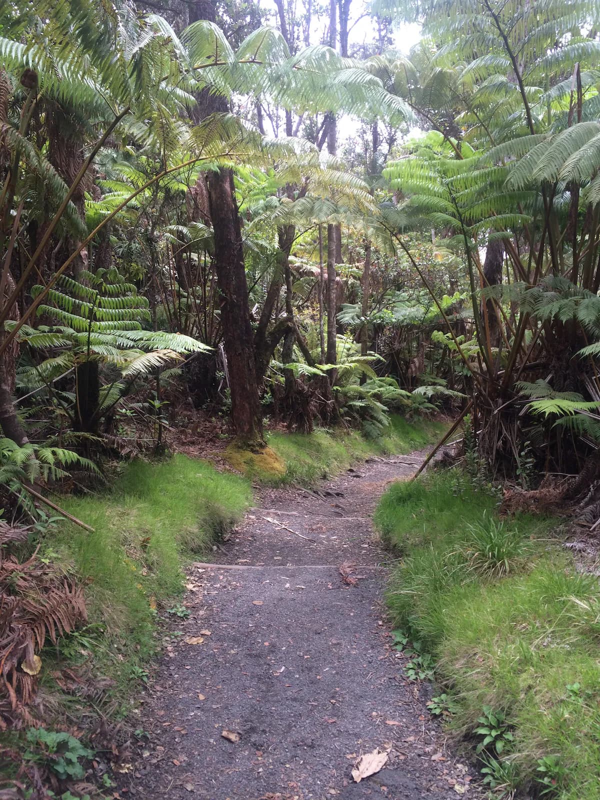 Explorer's Bungalow - Explore Volcanoes NP! - Image 42