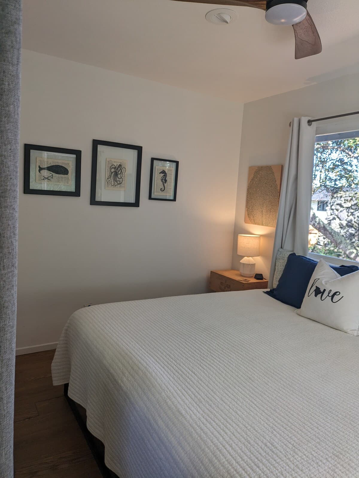 Guesthouse in Kailua-Kona · ★4.99 · 2 bedrooms · 2 beds · 1 bath - Image 13