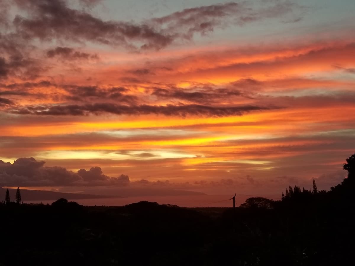 Private Country Cottage, Ocean View, A/C, Hana Hwy - Photo 5