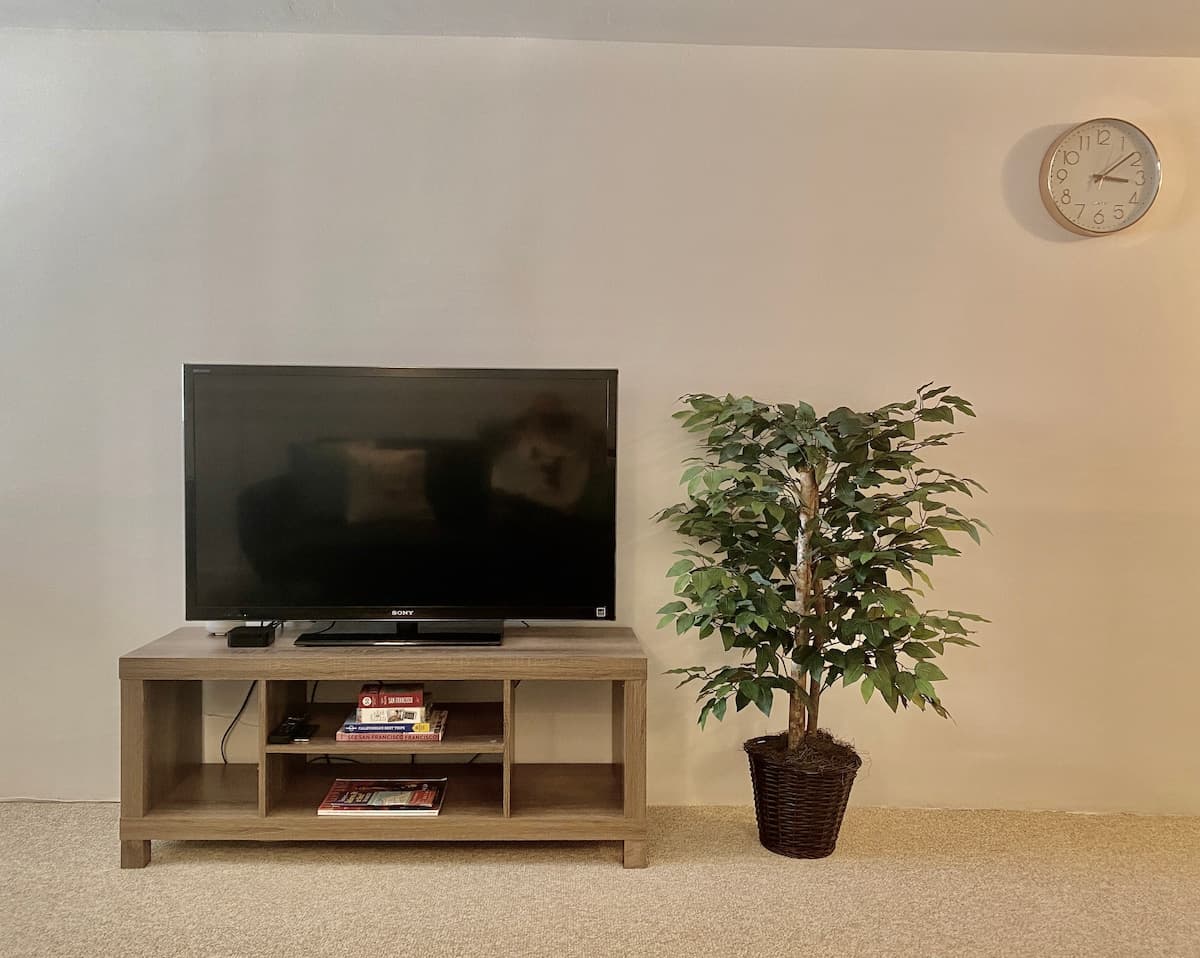 Private Suite in the HEART of Noe Valley! - Photo 2
