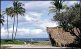Condo in Kailua-Kona · ★5.0 · 1 bedroom · 2 beds · 1 bath - Photo 5