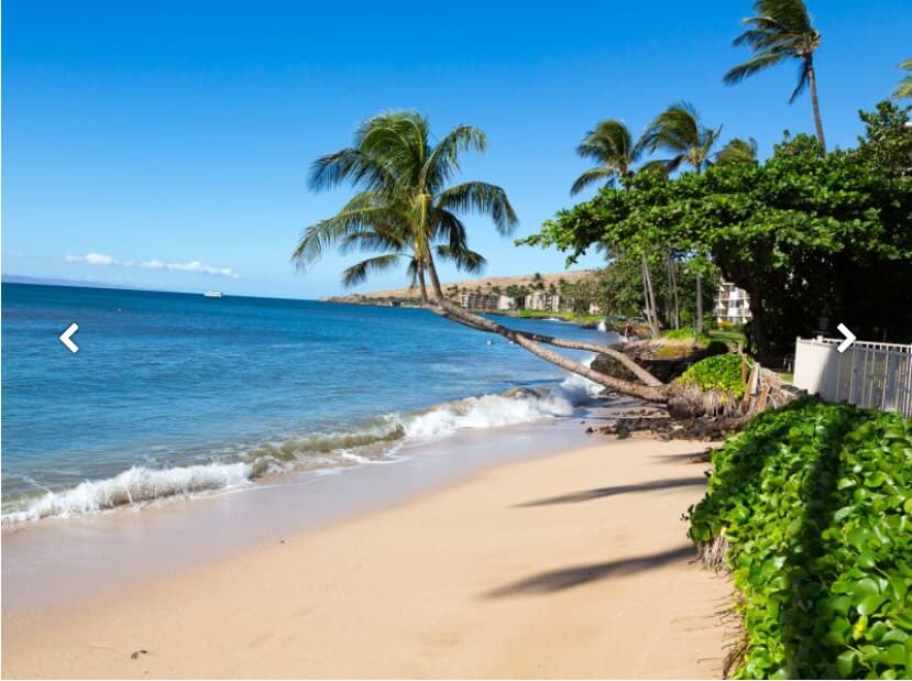 Condo in Wailuku · ★4.75 · 1 bedroom · 1 bed · 1 bath - Photo 1
