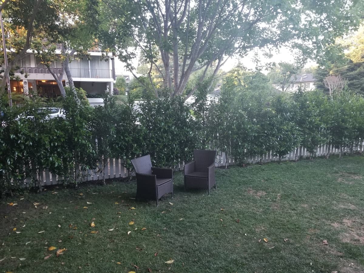 Remodeled Home Near Stanford, Private Yard - Photo 3