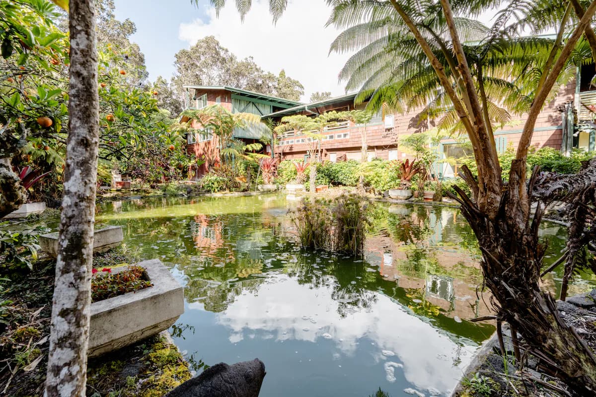 Nature lodge in Volcano · ★4.86 · 1 bedroom · 1 bed · 1 private bath - Image 14