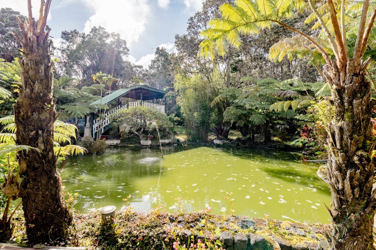 Nature lodge in Volcano · ★4.86 · 1 bedroom · 1 bed · 1 private bath - Image 19