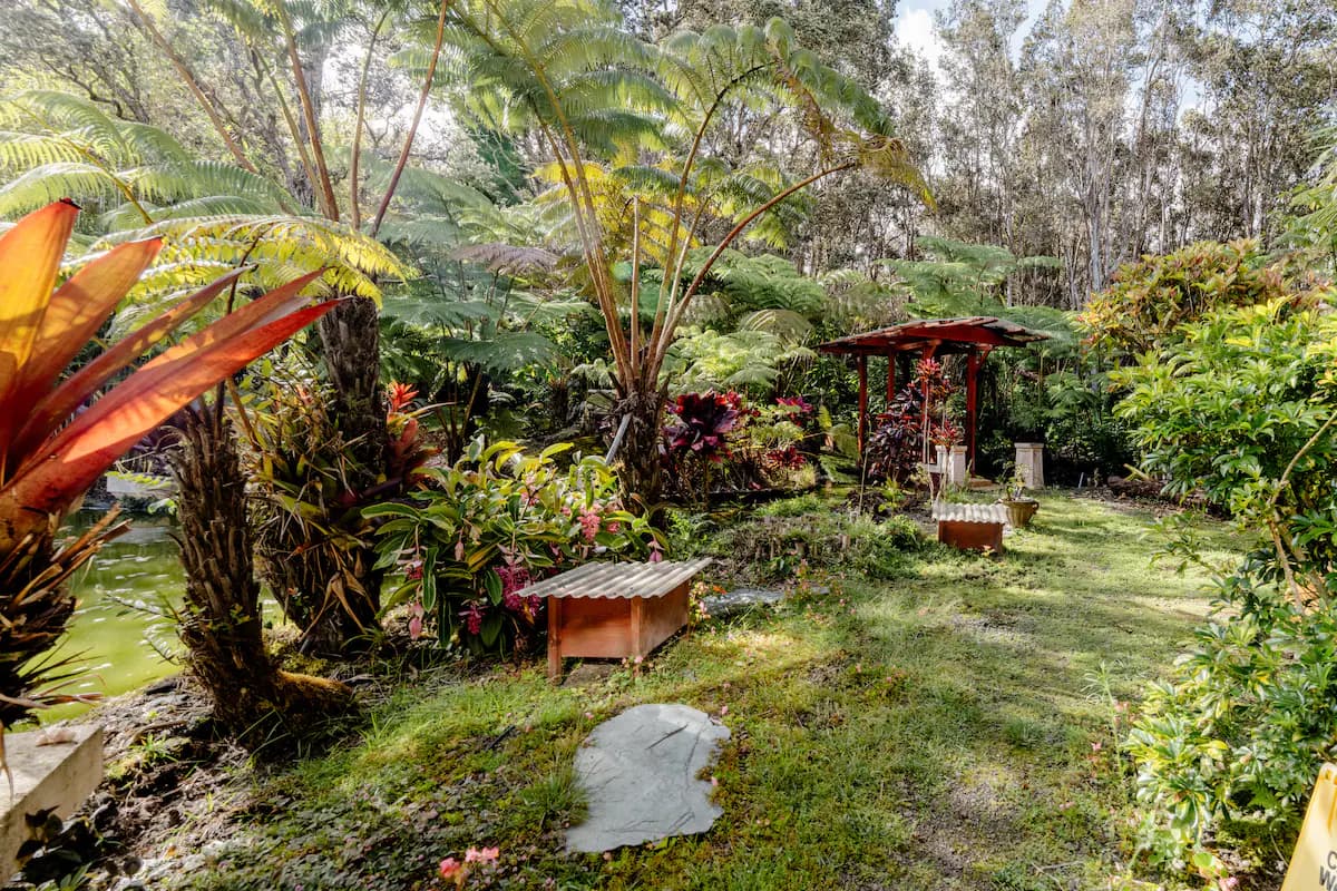 Nature lodge in Volcano · ★4.86 · 1 bedroom · 1 bed · 1 private bath - Image 16