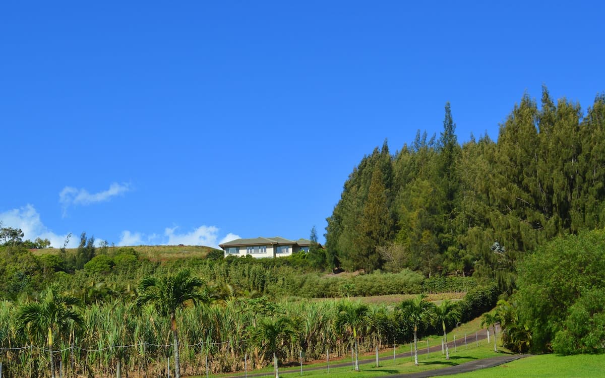 Home in Haiku-Pauwela · ★4.91 · 2 bedrooms · 3 beds · 1 bath - Photo 1