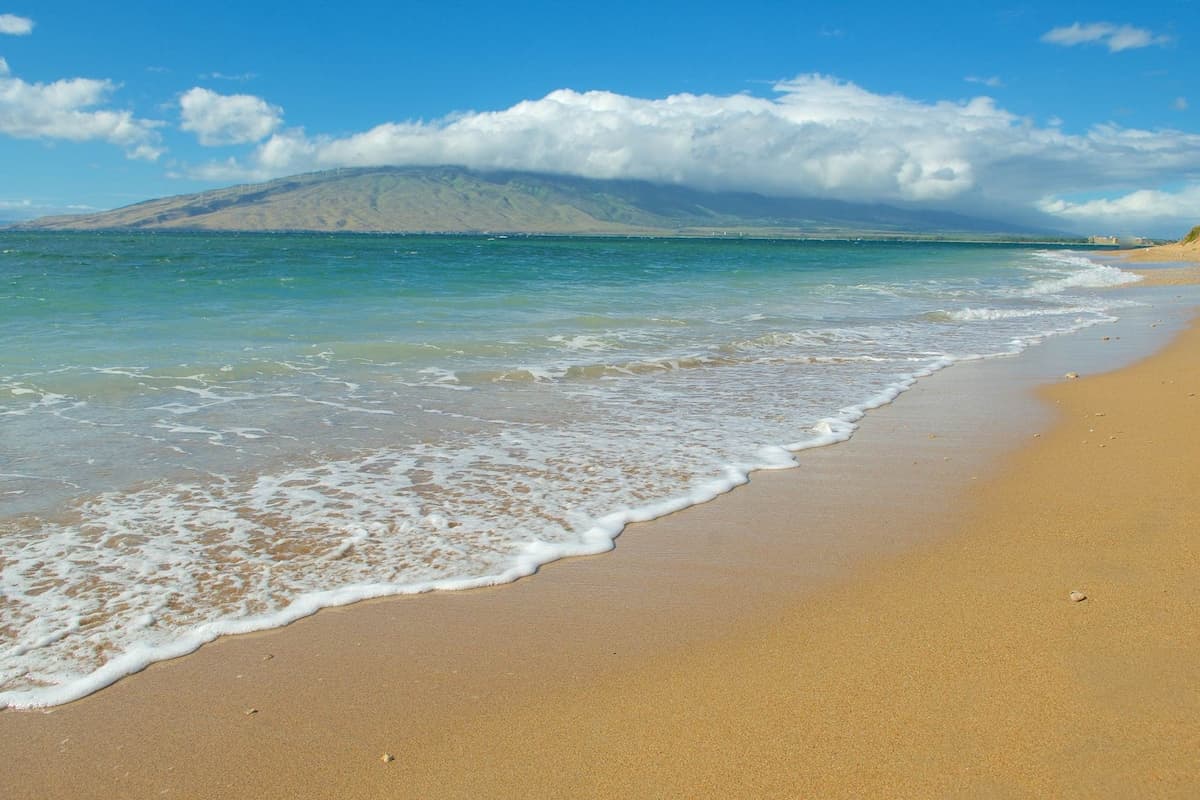 Condo in Kihei · ★4.6 · 1 bedroom · 1 bed · 1 shared bath - Photo 5