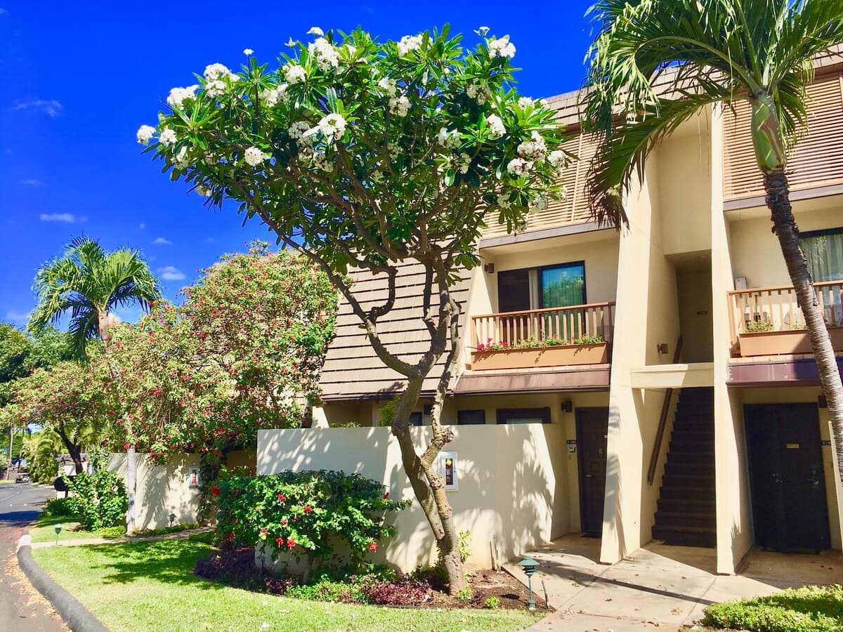 Condo in Kihei · ★4.91 · 2 bedrooms · 3 beds · 2 private baths - Photo 2