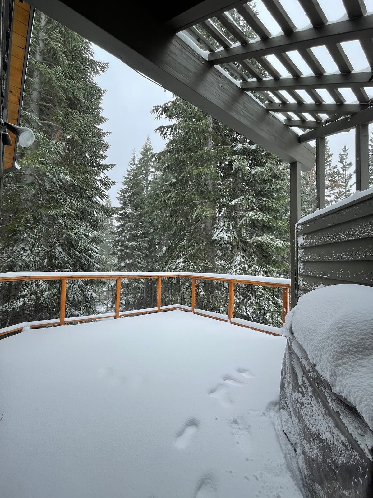 Refurbished Alpine Meadows Home, Private Hot Tub - Photo 1