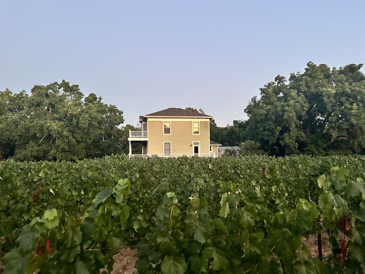 Victorian Home on 7 Acres with Vineyard Views - Photo 5