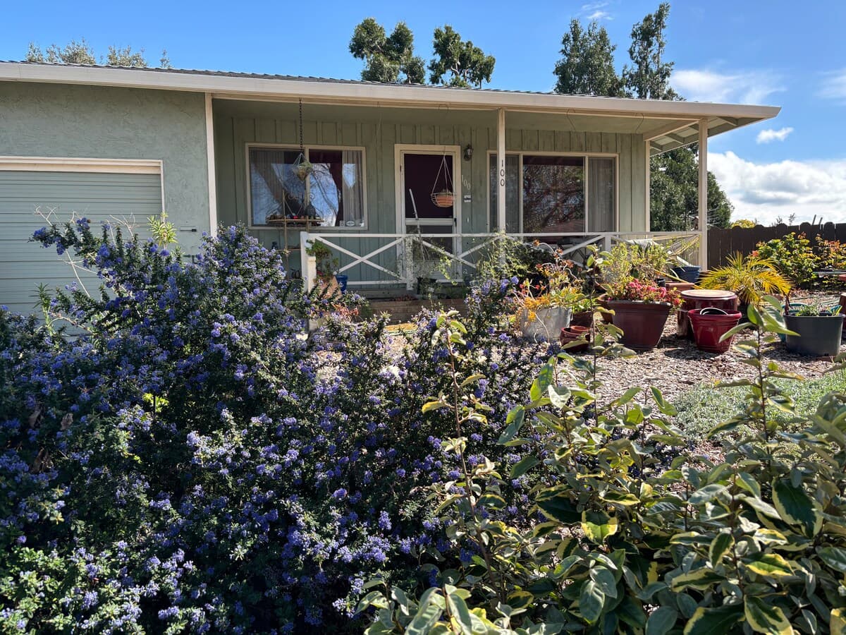 Midcentury modern home, parklike setting - Photo 2
