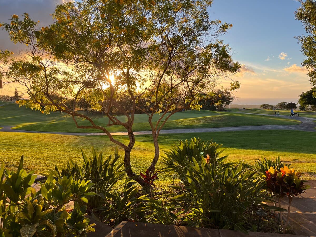 Condo in Waikoloa Village · ★4.83 · 1 bedroom · 2 beds · 1 bath - Photo 1