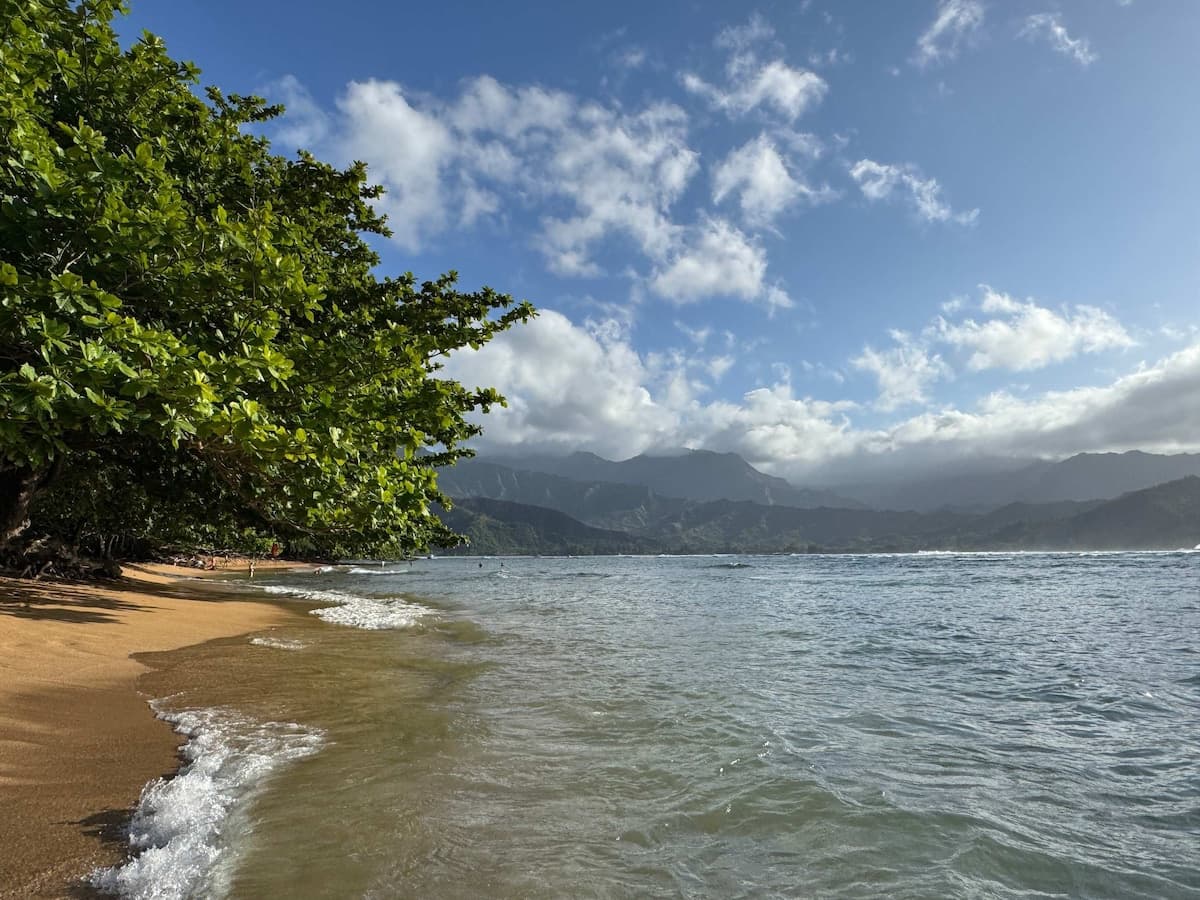 Condo in Princeville · ★4.95 · 2 bedrooms · 3 beds · 2 baths - Photo 5