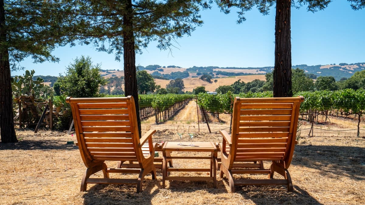 Sonoma Pool & Hot Tub Oasis Near Wineries - Photo 5