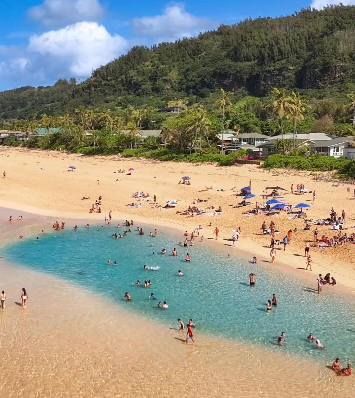 Home in Haleiwa · ★4.86 · 4 bedrooms · 8 beds · 3 private baths - Photo 1