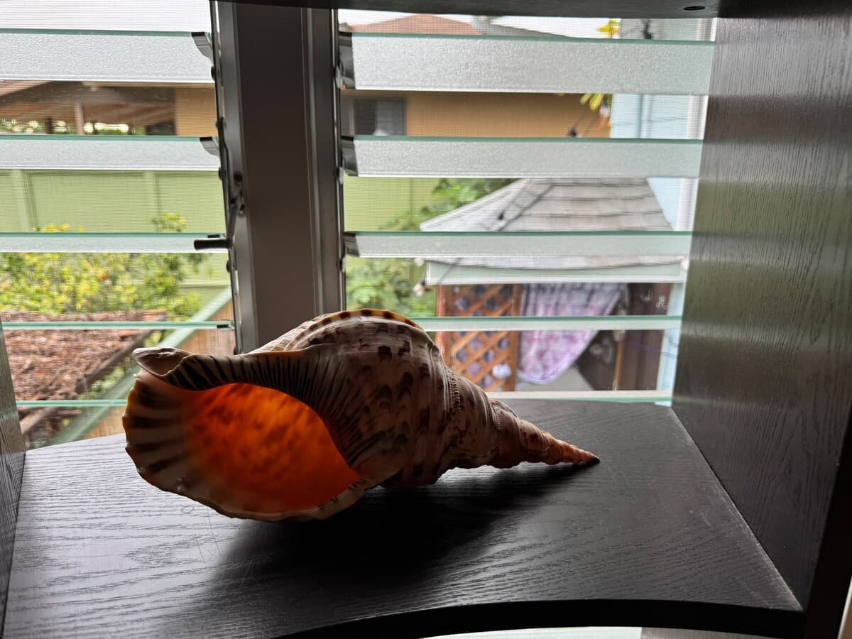 Home in Kailua-Kona · ★4.89 · 1 bedroom · 1 bed · 1 private bath - Photo 3