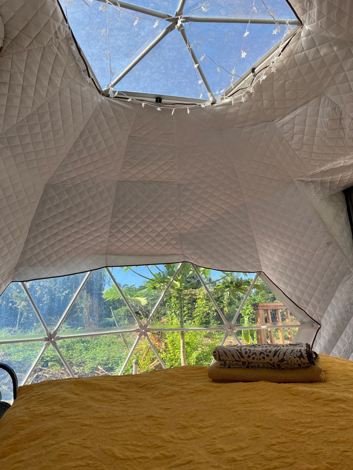 The Fairy Dome Nest - Photo 5
