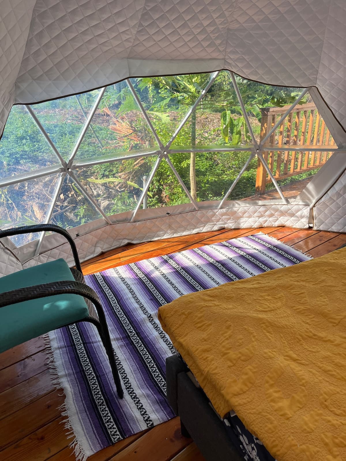 The Fairy Dome Nest - Photo 1