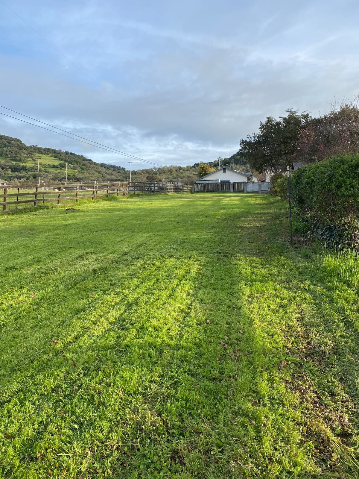 Napa Valley Gem Goat Neighbor & Mountain Views - Photo 5