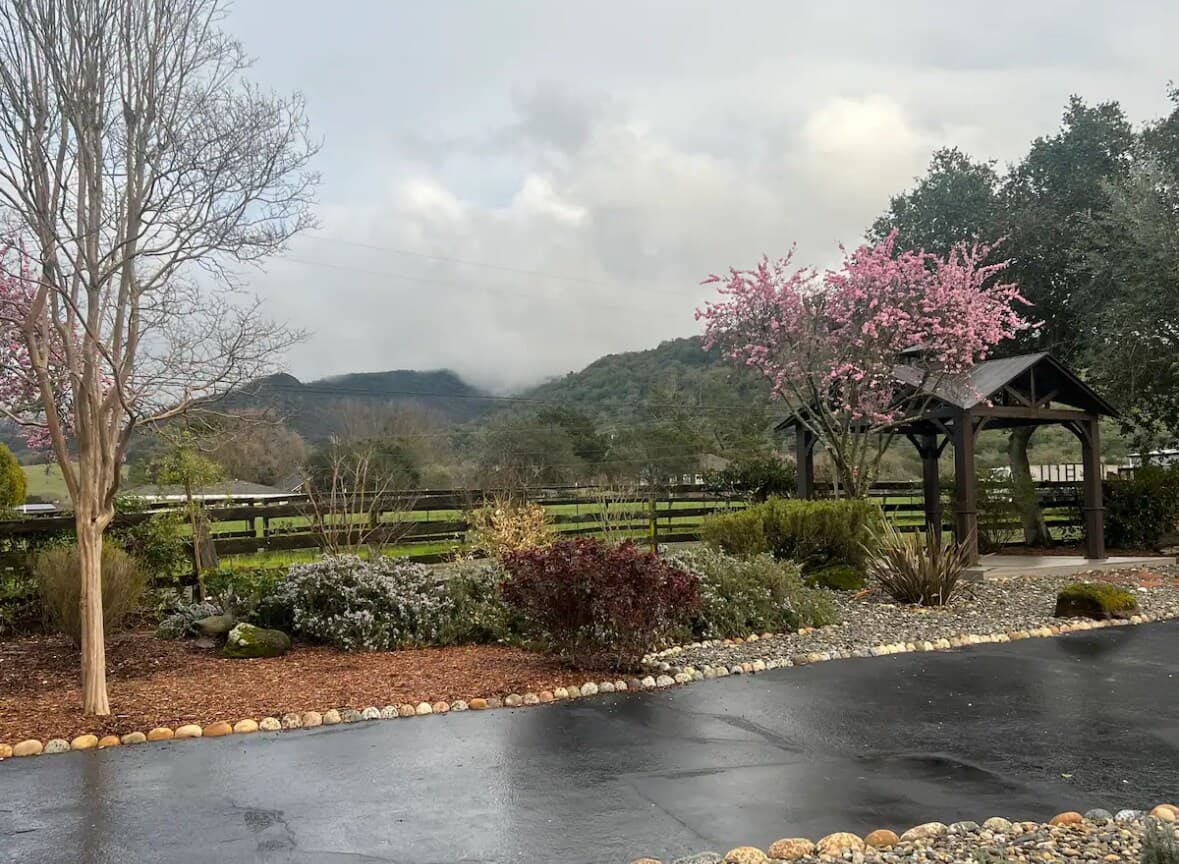Napa Valley Gem Goat Neighbor & Mountain Views - Photo 2