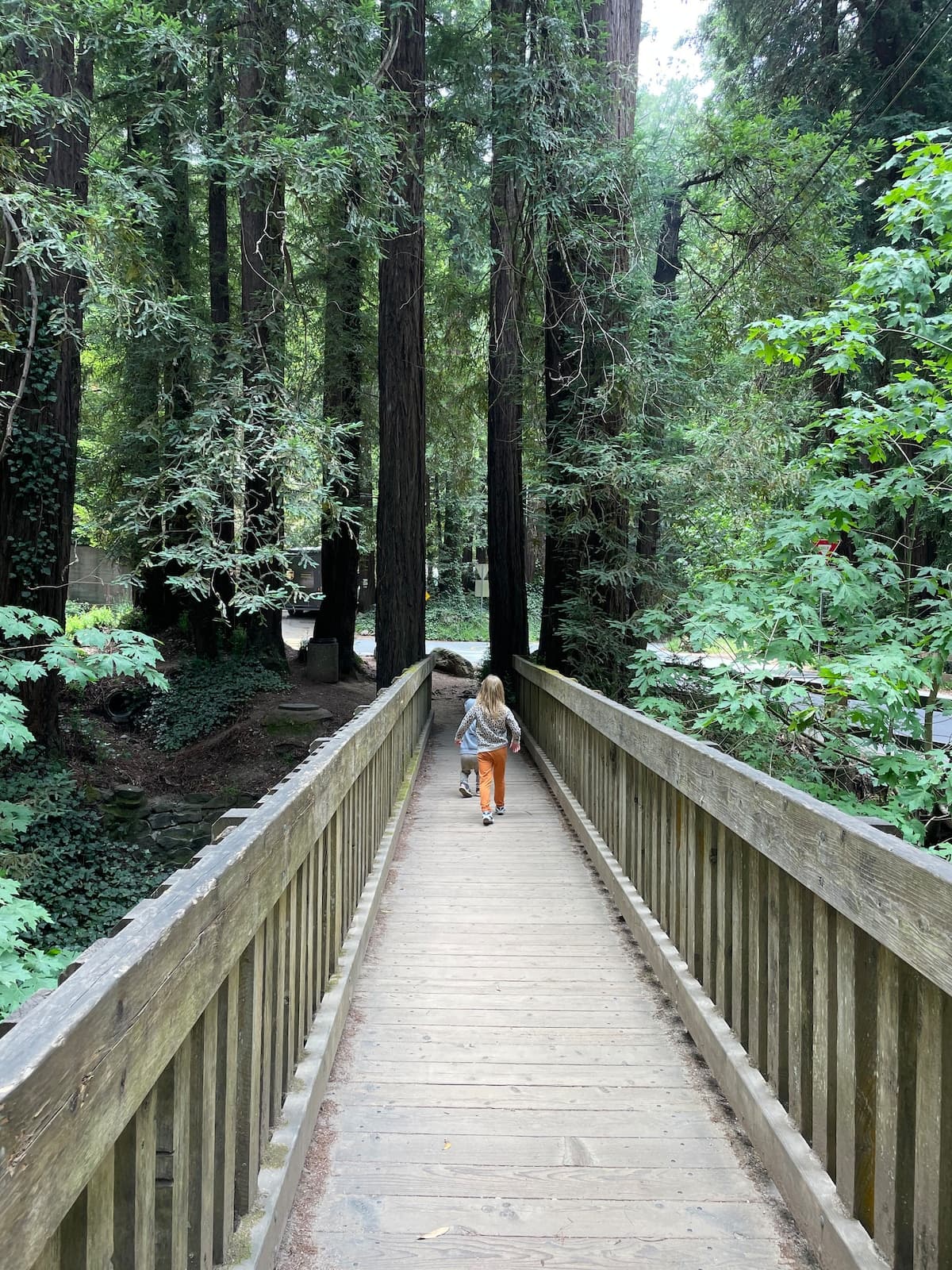 Family Home Near Trails, SF & Muir Woods - Photo 5