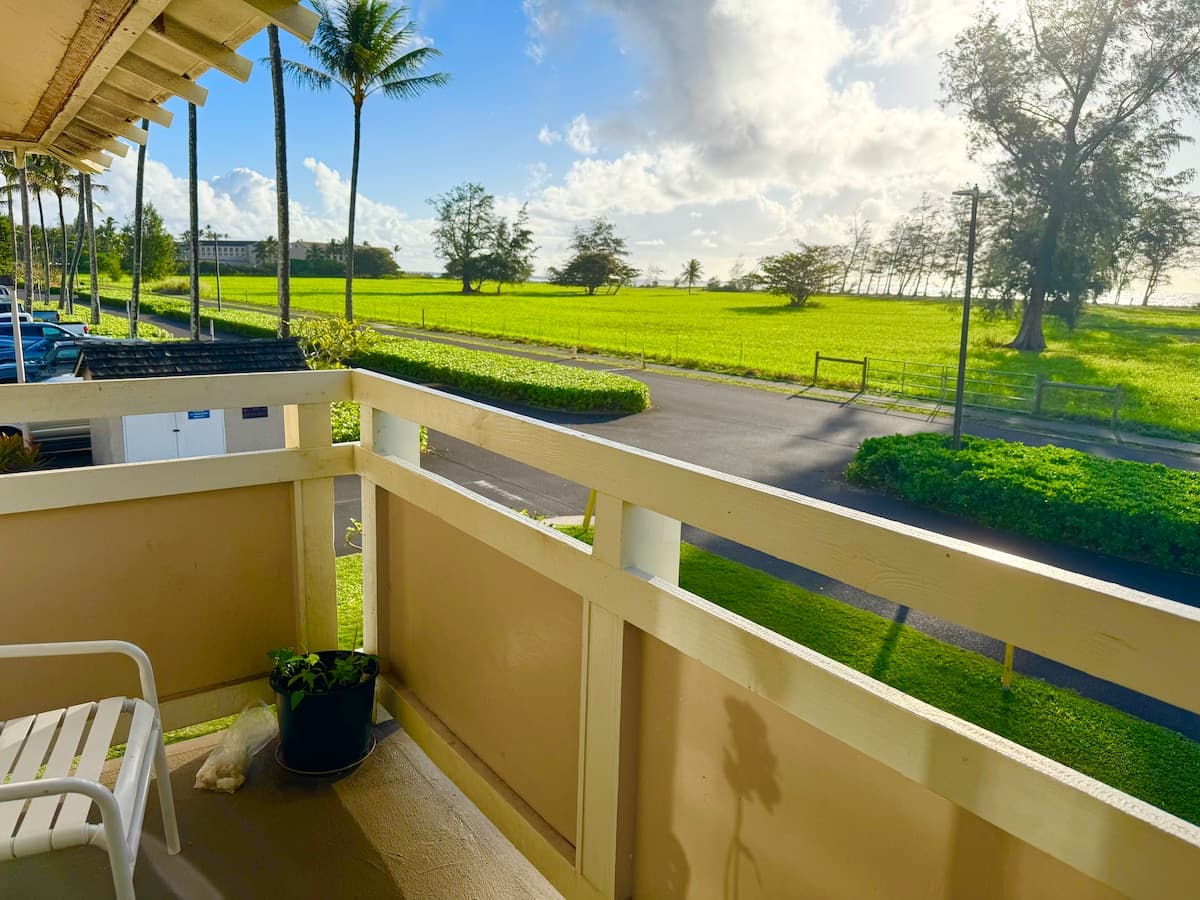 Oceanview on Coconut Coast - Photo 1