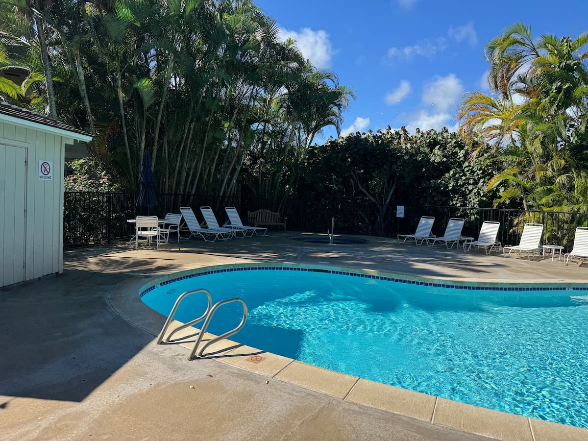 Oceanview on Coconut Coast - Photo 4