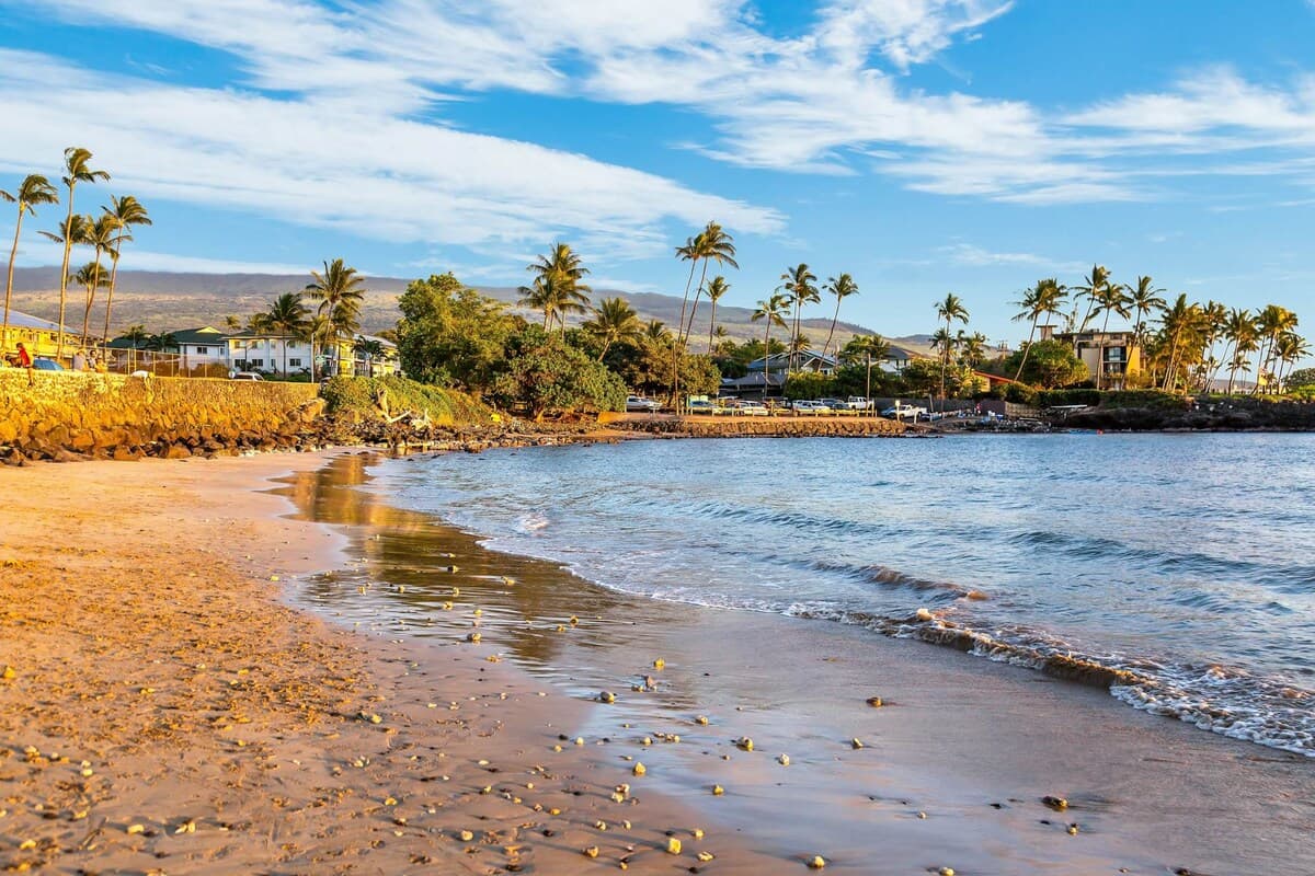 Condo in Kihei · ★4.5 · 1 bedroom · 2 beds · 1 shared bath - Photo 5