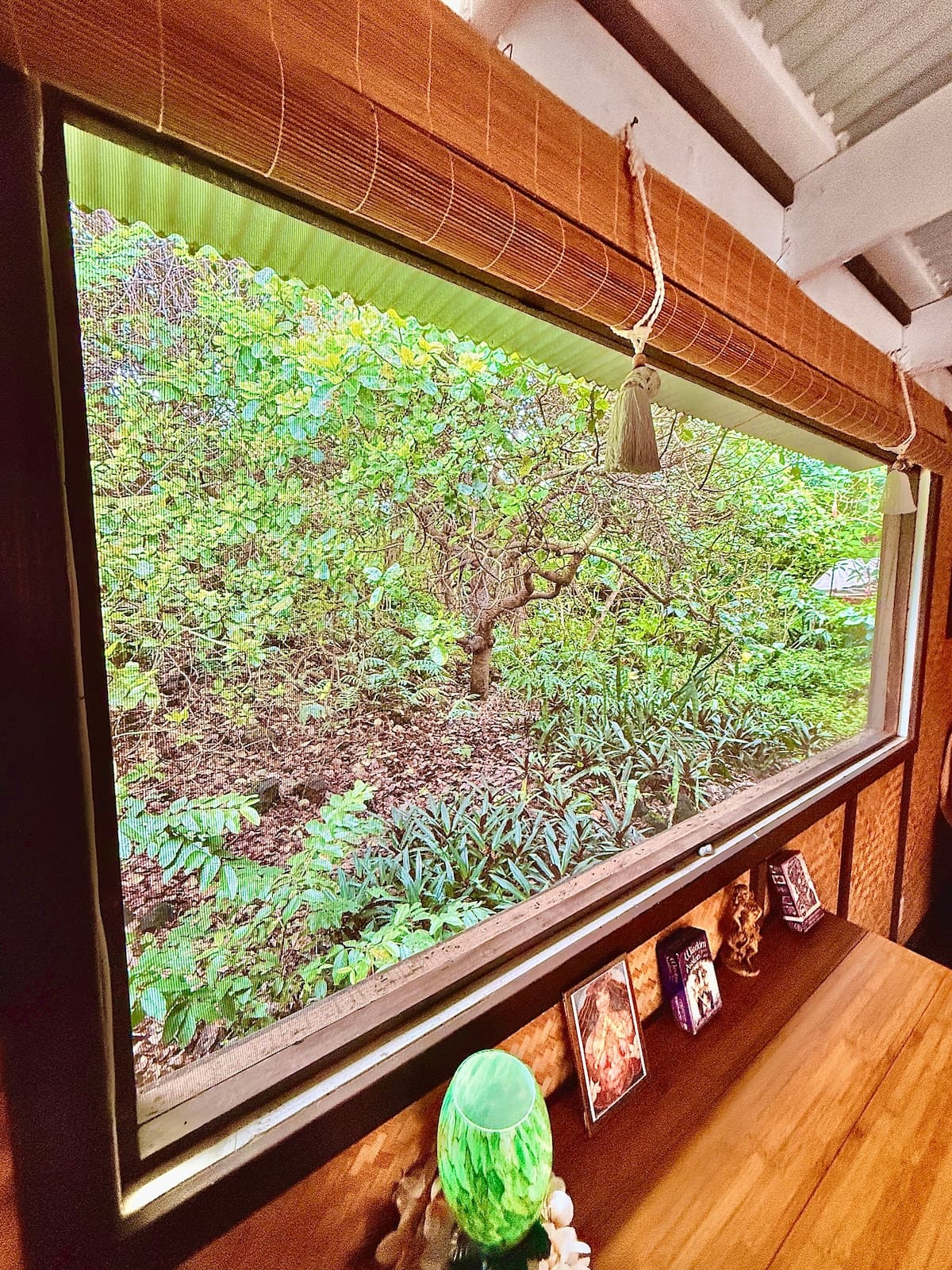 Guesthouse in Captain Cook · ★4.67 · 1 bedroom · 1 bed · 1 private bath - Photo 4
