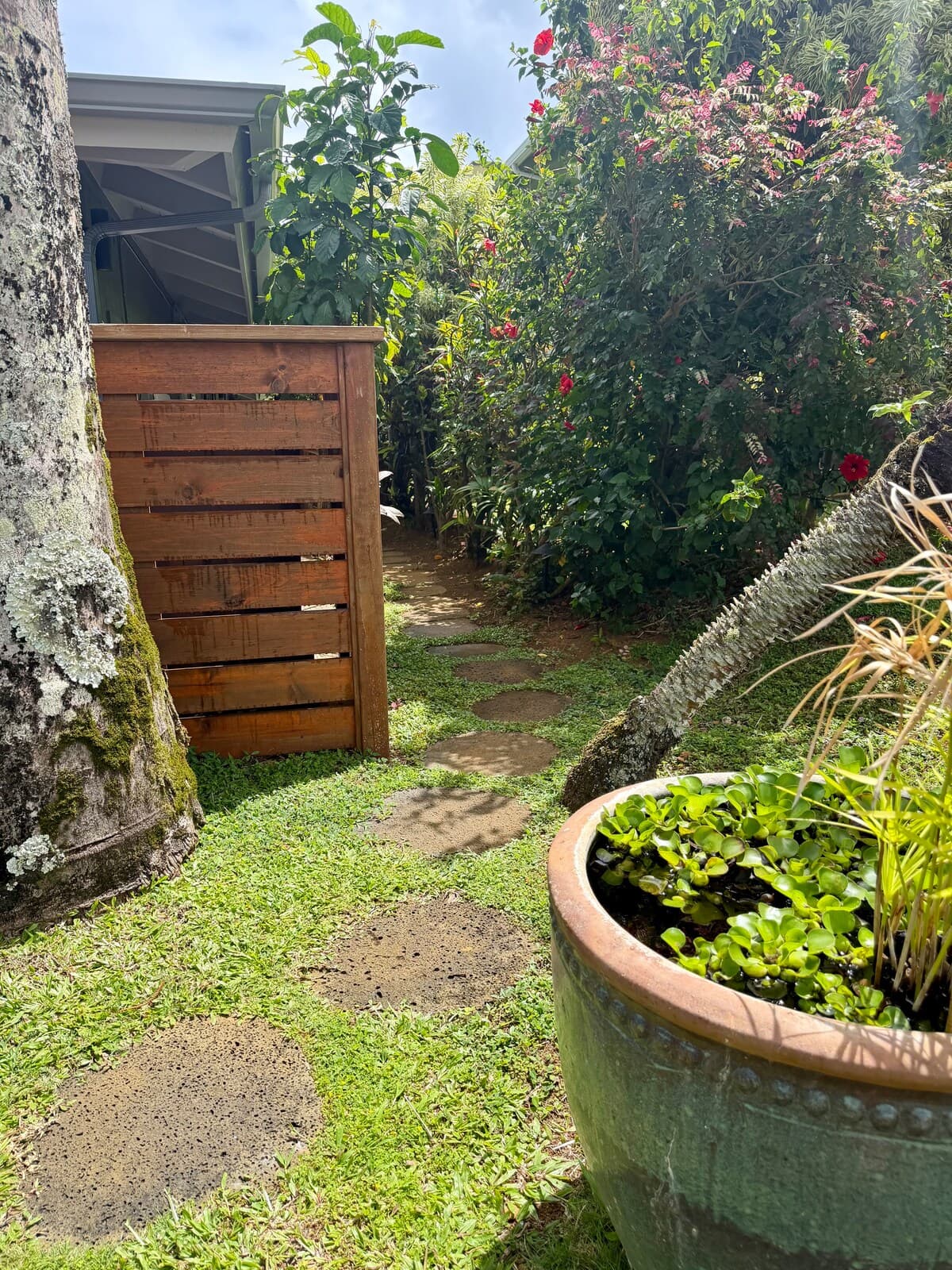 Couple's Kauai Cliffside Retreat with A/C - Photo 5