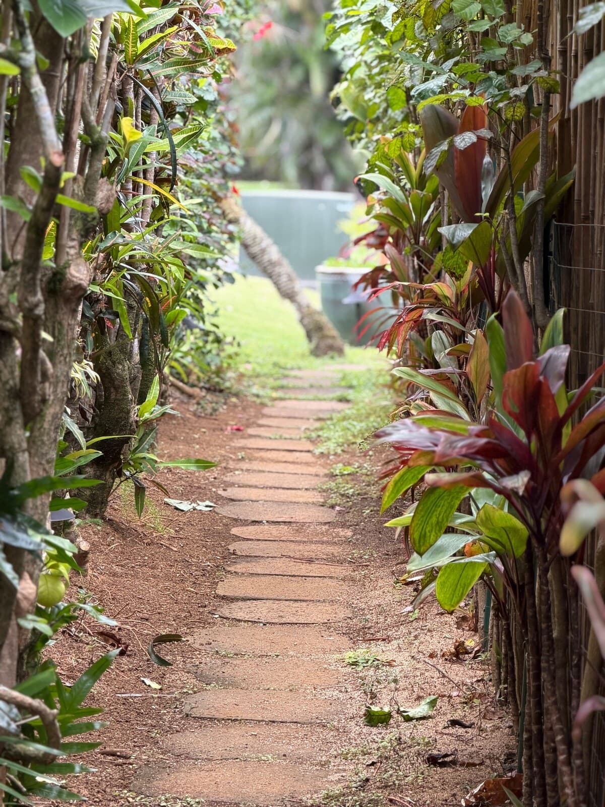 Couple's Kauai Cliffside Retreat with A/C - Photo 3