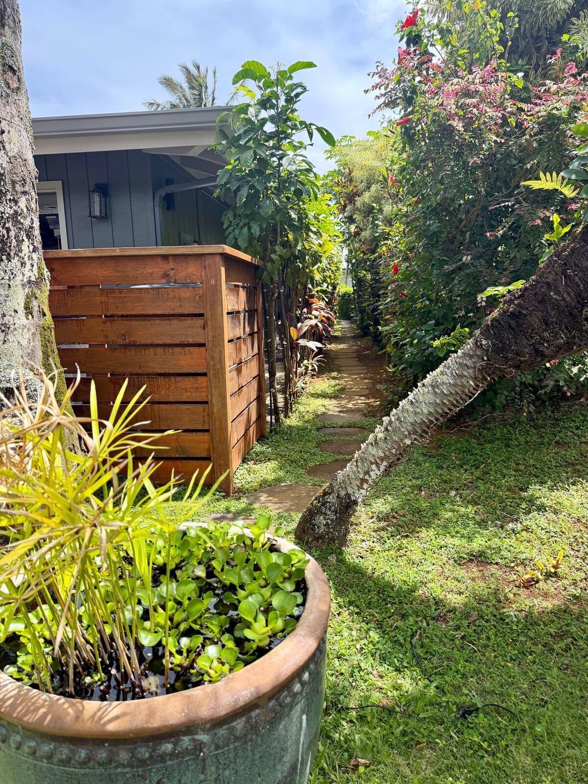 Couple's Kauai Cliffside Retreat with A/C - Photo 4