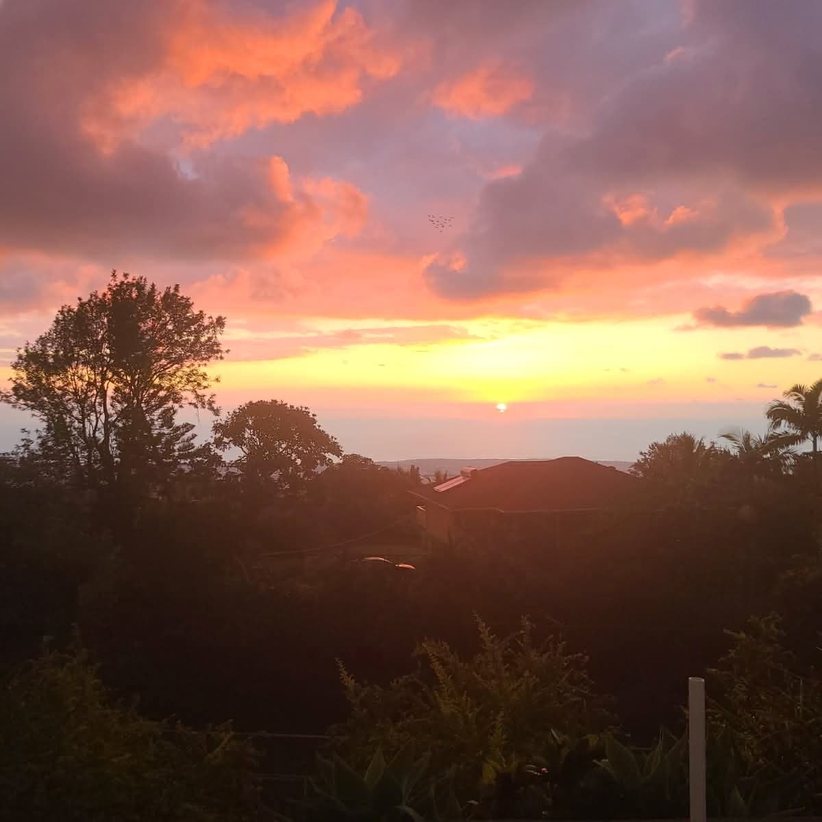 Home in Kailua-Kona · ★4.86 · 2 bedrooms · 2 beds · 2 baths - Photo 5