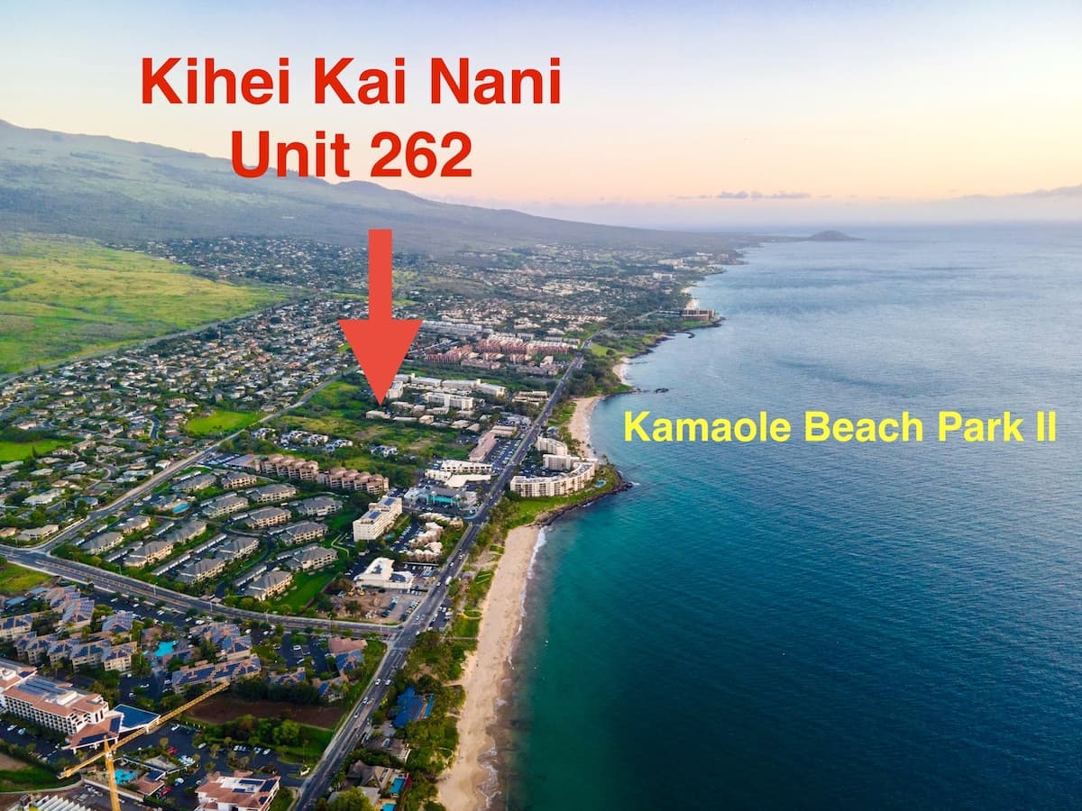 Condo in Kihei · ★4.95 · 1 bedroom · 2 beds · 1 bath - Photo 1