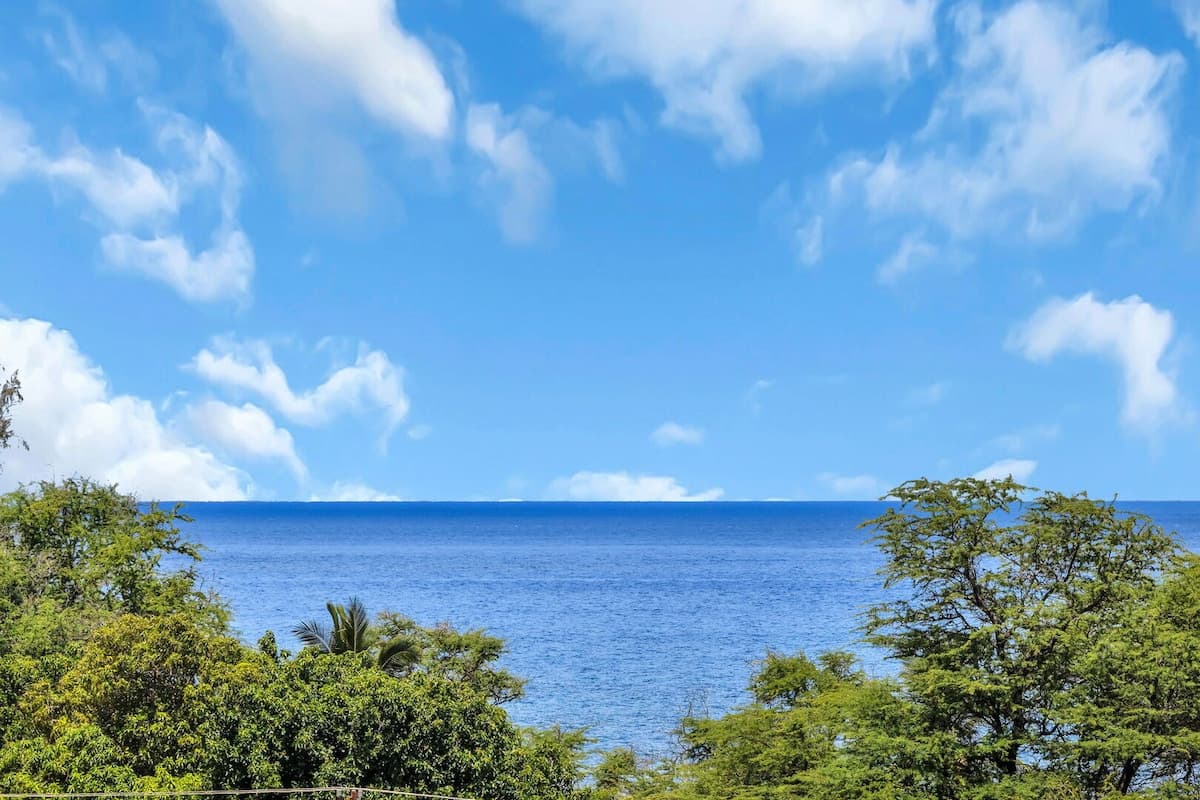 Condo in Kihei · ★4.81 · 1 bedroom · 2 beds · 1 private bath - Photo 4