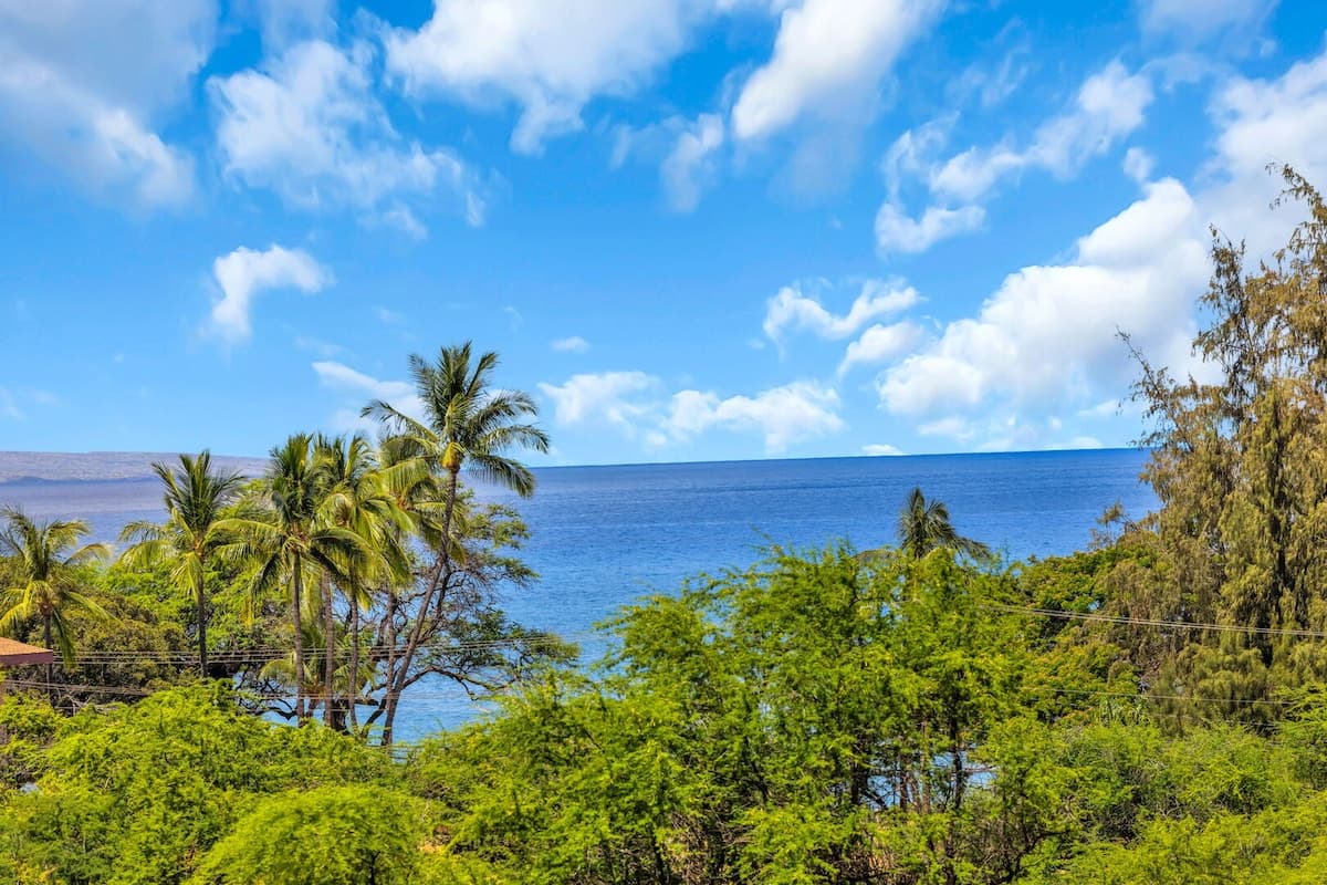 Condo in Kihei · ★4.75 · Studio · 2 beds · 1 bath - Photo 4