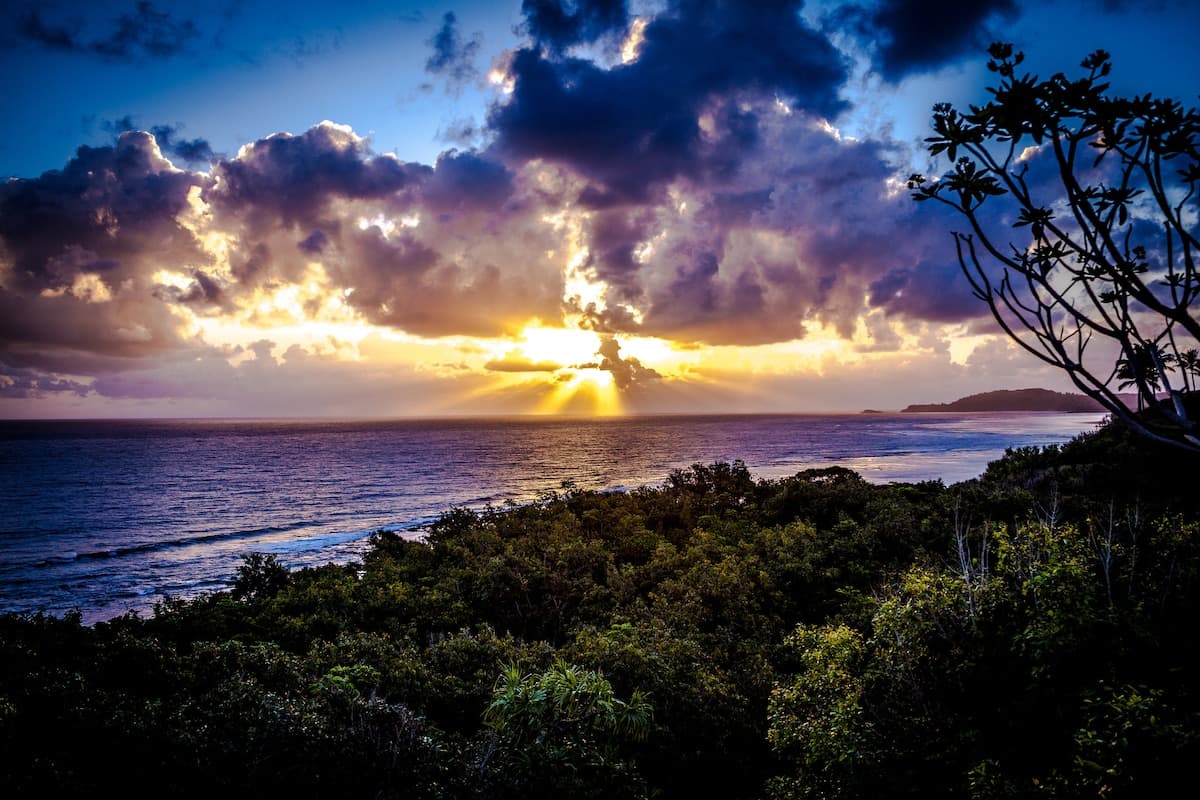 Guesthouse in Princeville · ★5.0 · Studio · 1 bed · 1 bath - Photo 1