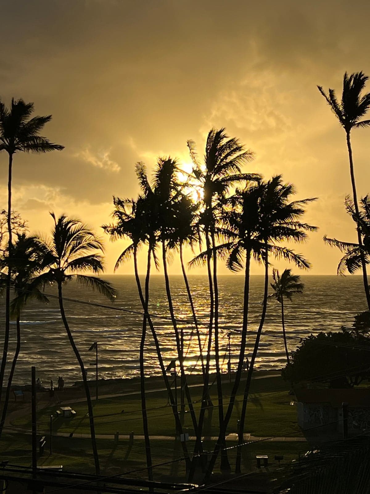 Condo in Kihei · ★4.94 · 1 bedroom · 1 bed · 1 bath - Photo 1