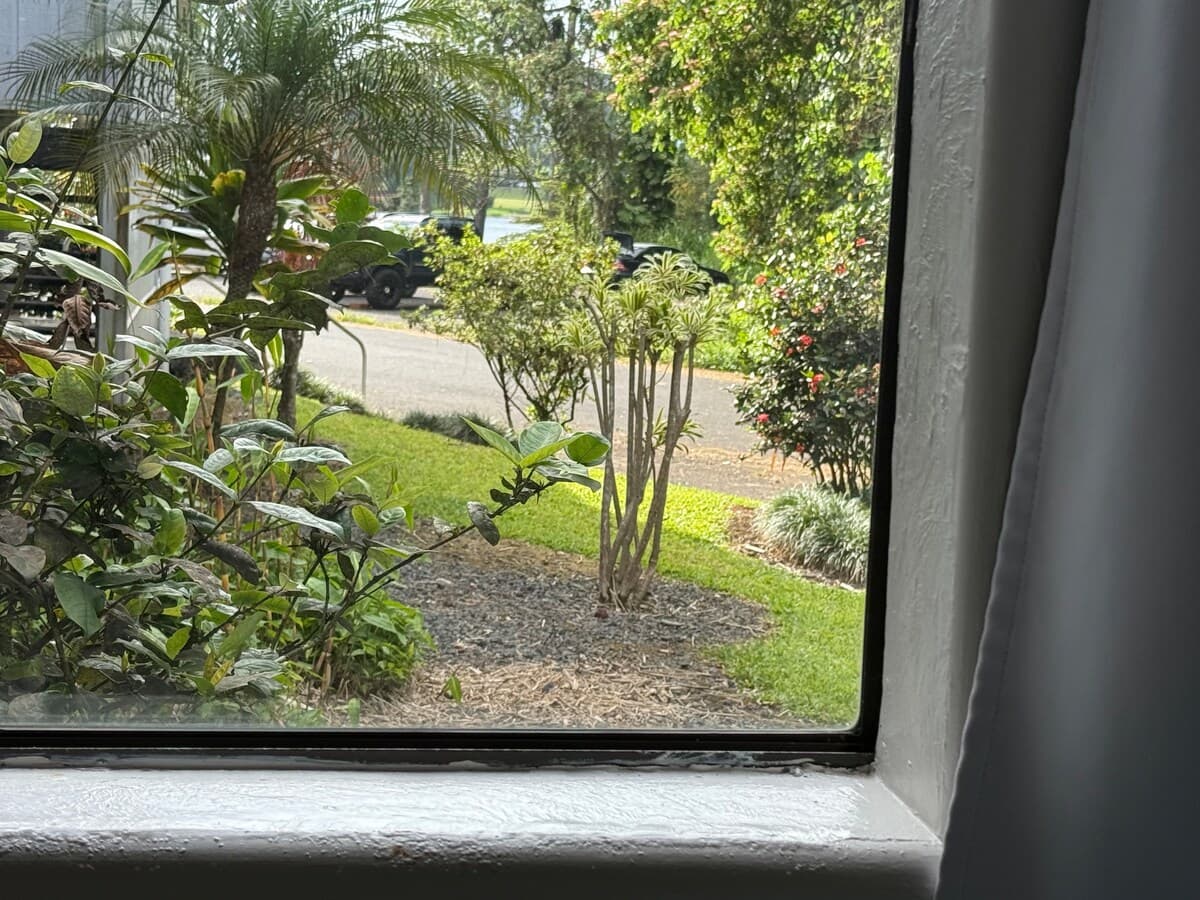 Cute Polynesian 2Br 1Ba Apt with work space - Photo 3