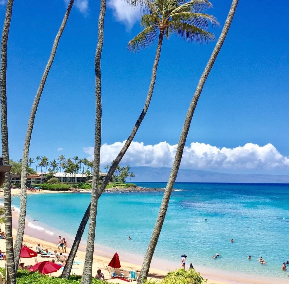 Oceanfront Resort Maui~ AC/King~ Sandy Napili Bay! - Photo 3