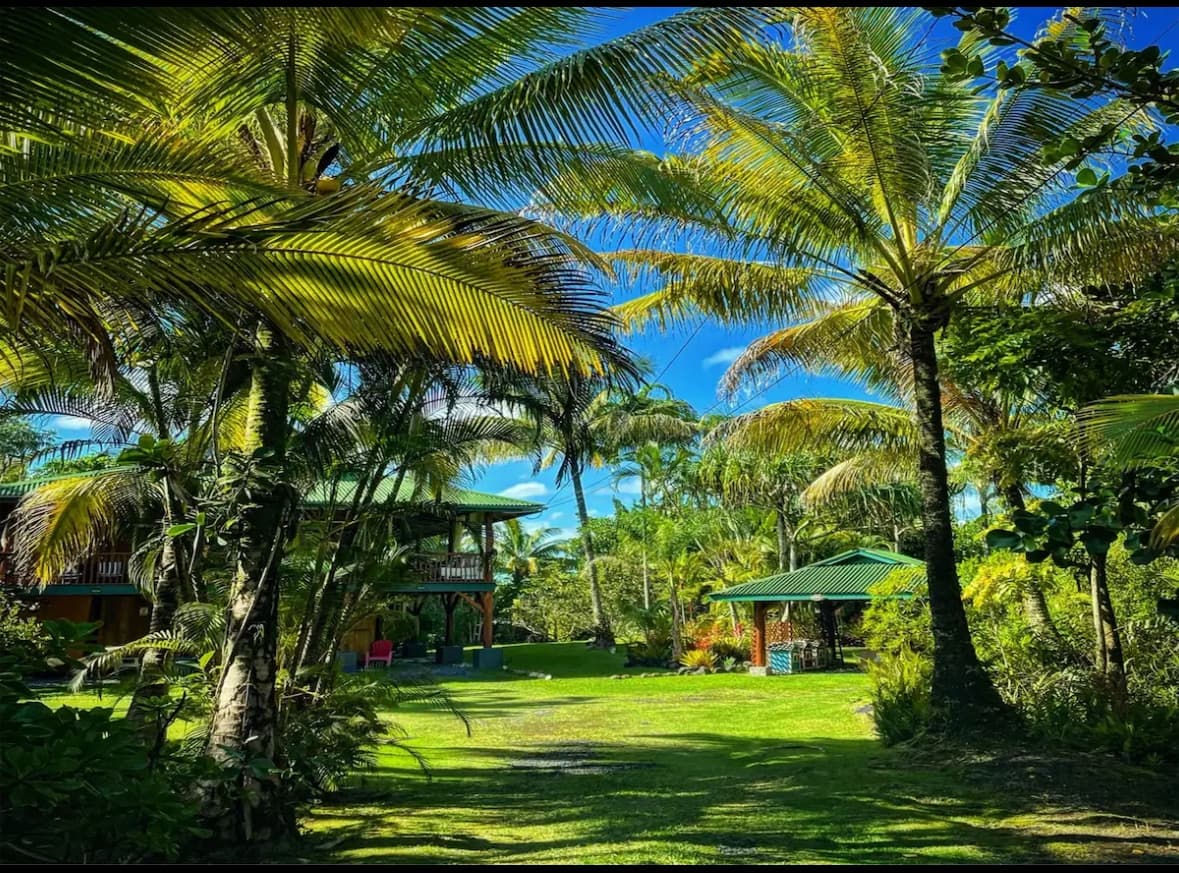 Home in Keaau · ★5.0 · 3 bedrooms · 4 beds · 1.5 private baths - Photo 4