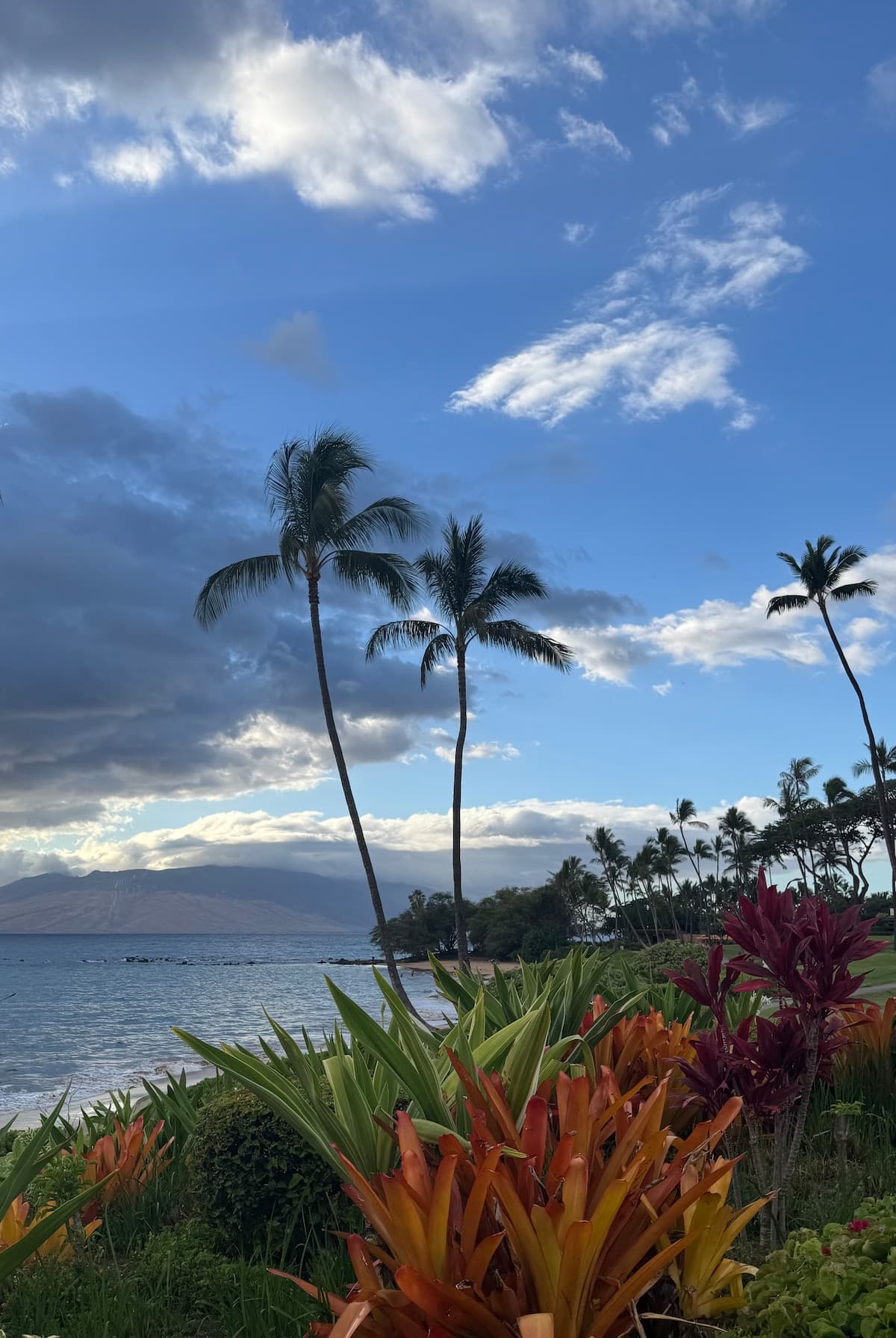 Condo in Kihei · ★4.6 · 1 bedroom · 2 beds · 1 private bath - Photo 1