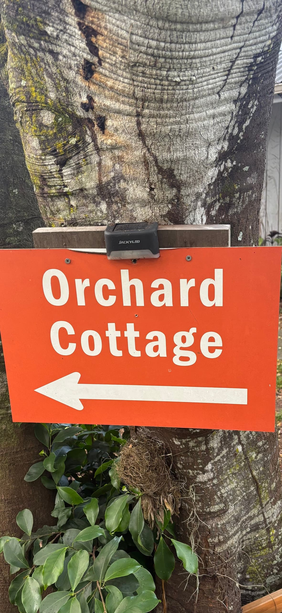 Hale Kukui - Orchard Cottage! Epic Views! - Photo 5