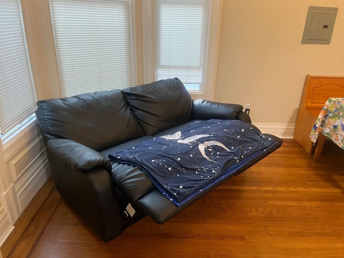 Spacious Alameda Studio! – Near SF - Photo 1