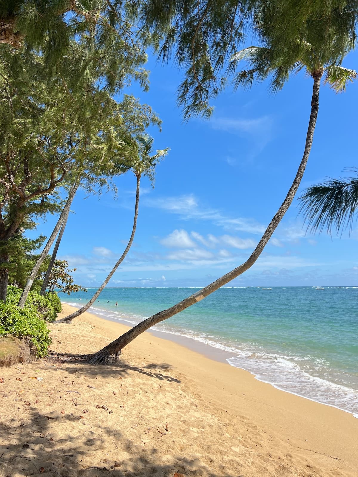 North Shore Beachfront Studio - Photo 1
