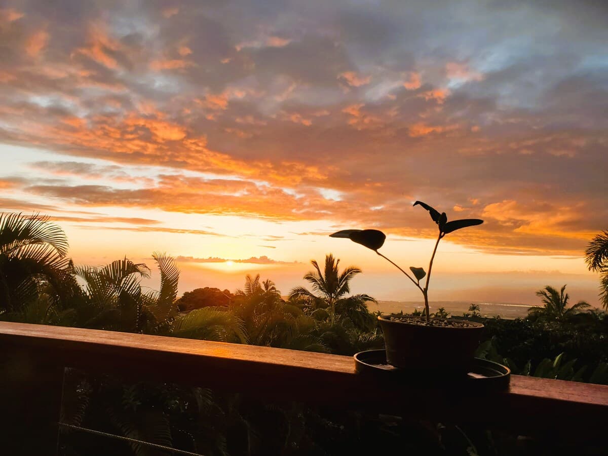 Home in Kailua-Kona · ★4.67 · 2 bedrooms · 3 beds · 1 private bath - Photo 1