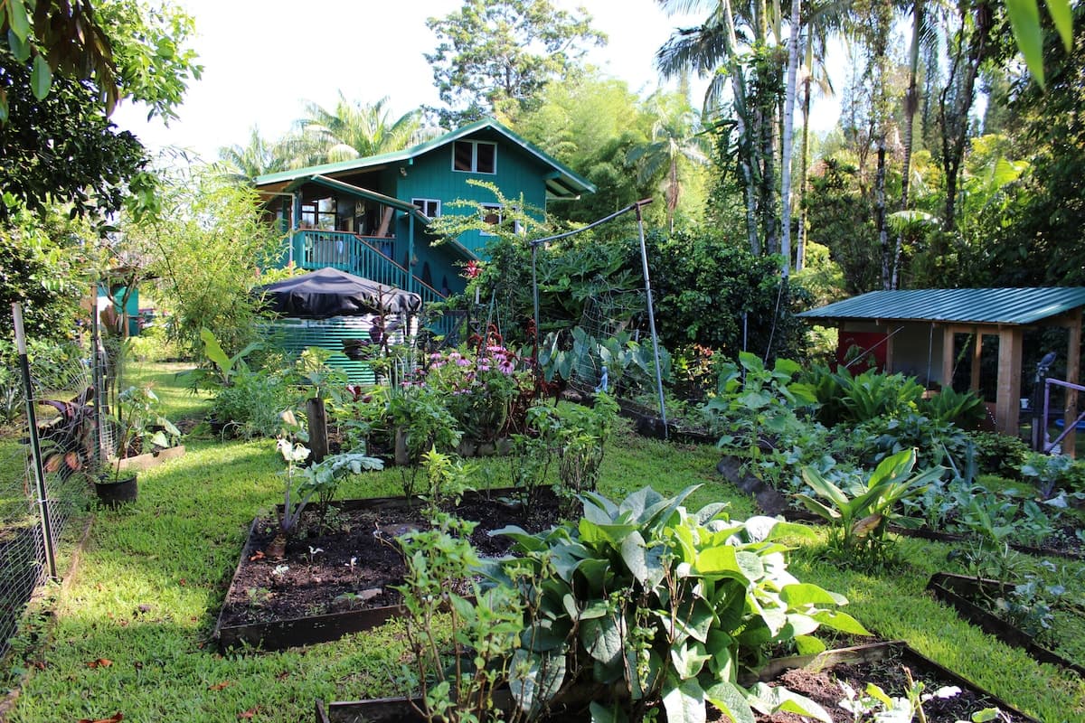 Jungle top suite nature escape ~ two king beds - Photo 4